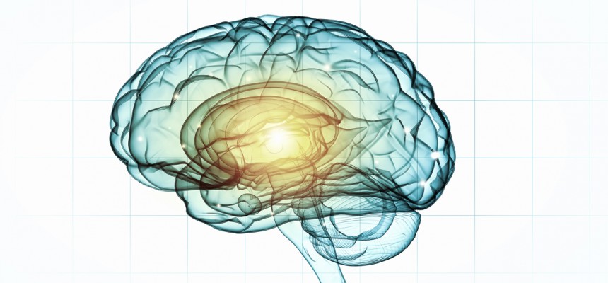 Sept conseils pratiques pour entretenir sa mémoire et prévenir Alzheimer Sept conseils pratiques pour entretenir sa mémoire et prévenir Alzheimer
