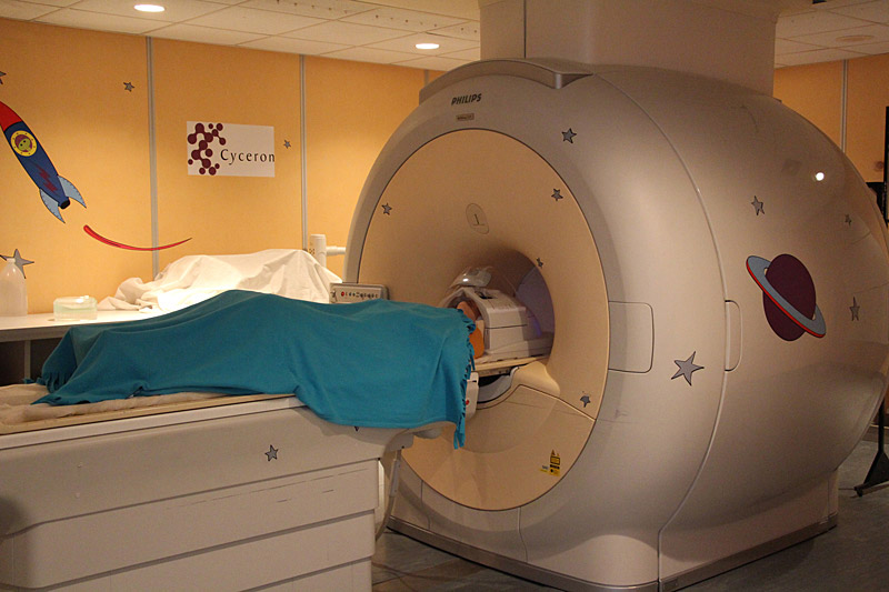 https://www.vaincrealzheimer.org/wp-content/uploads/2015/09/Appel_candidature_vaincre_alzheimer.jpg