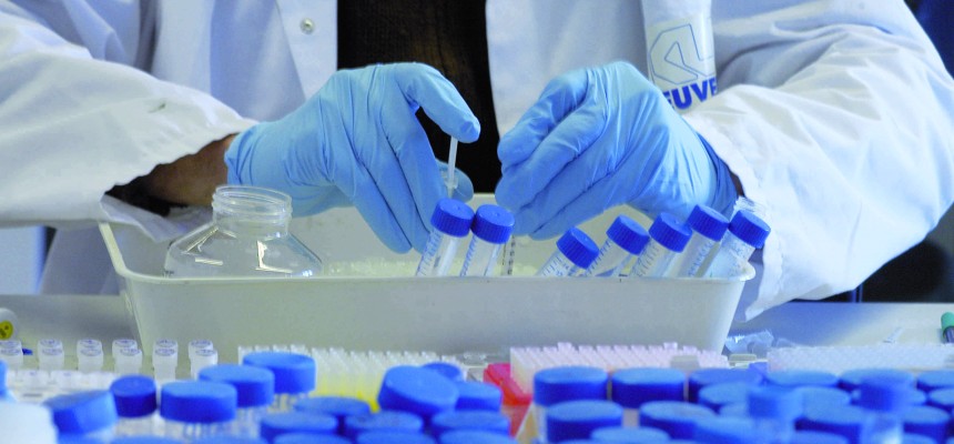 Alzheimer : Un laboratoire marseillais découvre une nouvelle piste de recherche Alzheimer : Un laboratoire marseillais découvre une nouvelle piste de recherche