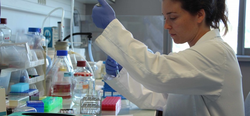 Alzheimer : qu’est ce que la recherche fondamentale ?
