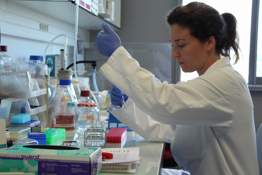 Alzheimer : qu’est ce que la recherche fondamentale ?