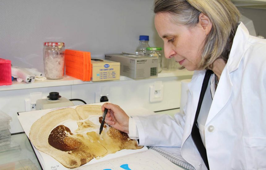 La recherche sur les biomarqueurs pour bloquer la destruction des neurones ?
