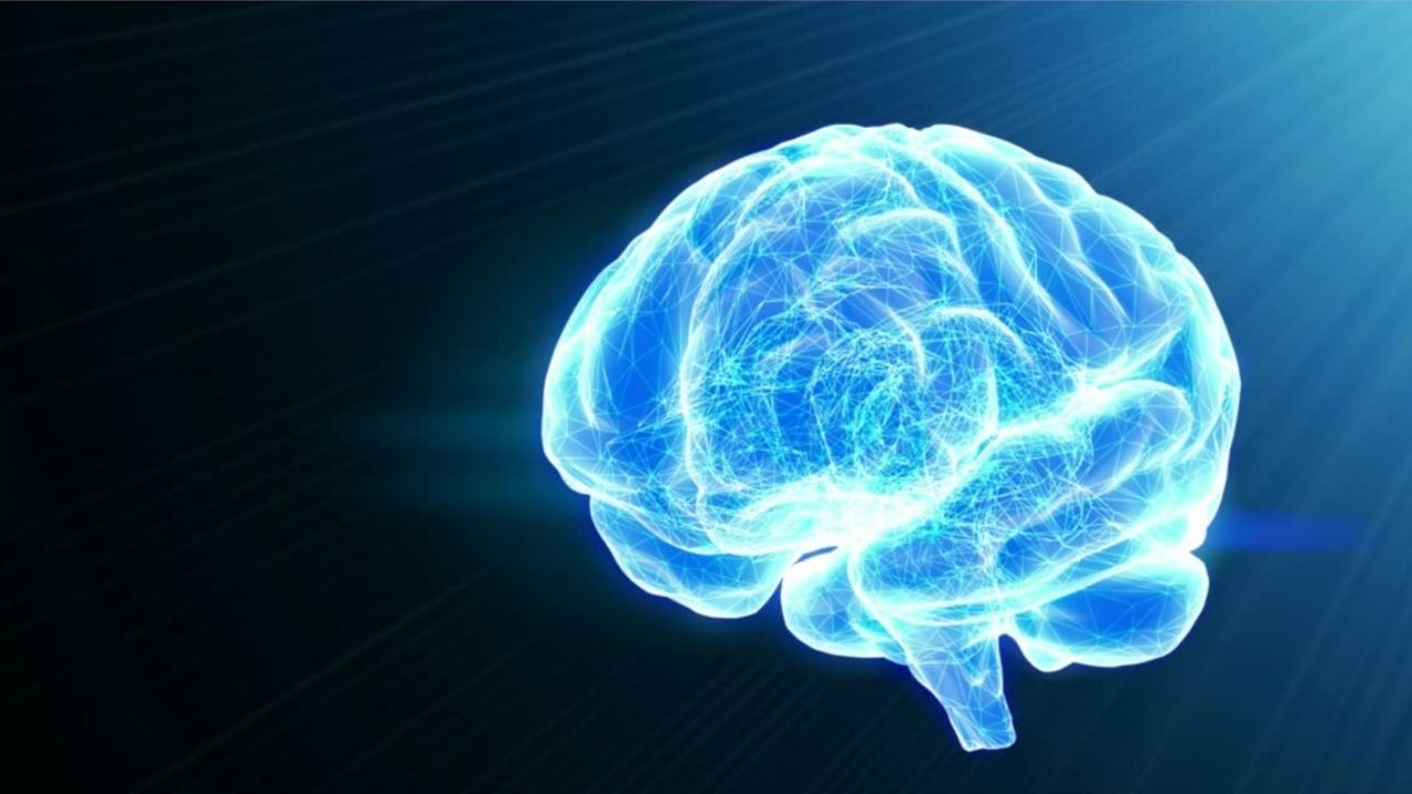 don de cerveau