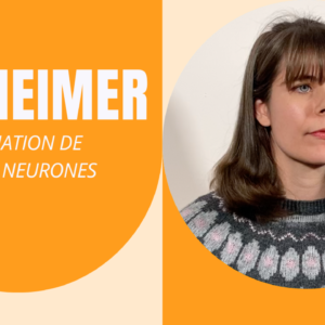 Neurogenèse : l’activité physique permet-elle de créer de nouveaux neurones ?